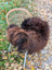 A plush dark rust icelandic sheepskin throw draped over a wicker chair with white metal legs for cozy use