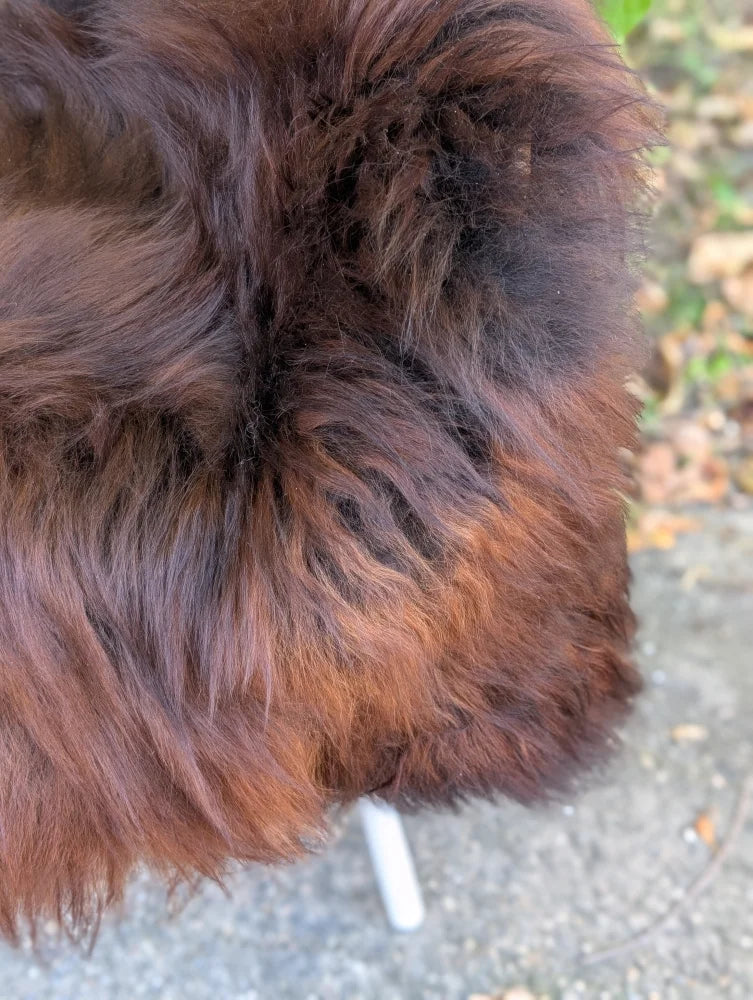 A plush dark brown wool icelandic sheepskin coat with thick natural texture and shade variations in large size