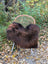 A plush dark rusty icelandic sheepskin throw draped over a woven rattan chair with white metal legs
