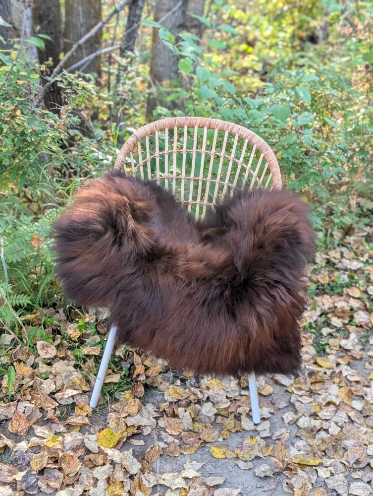 A cozy thick natural dark rusty icelandic sheepskin throw draped over a woven rattan chair with white metal legs