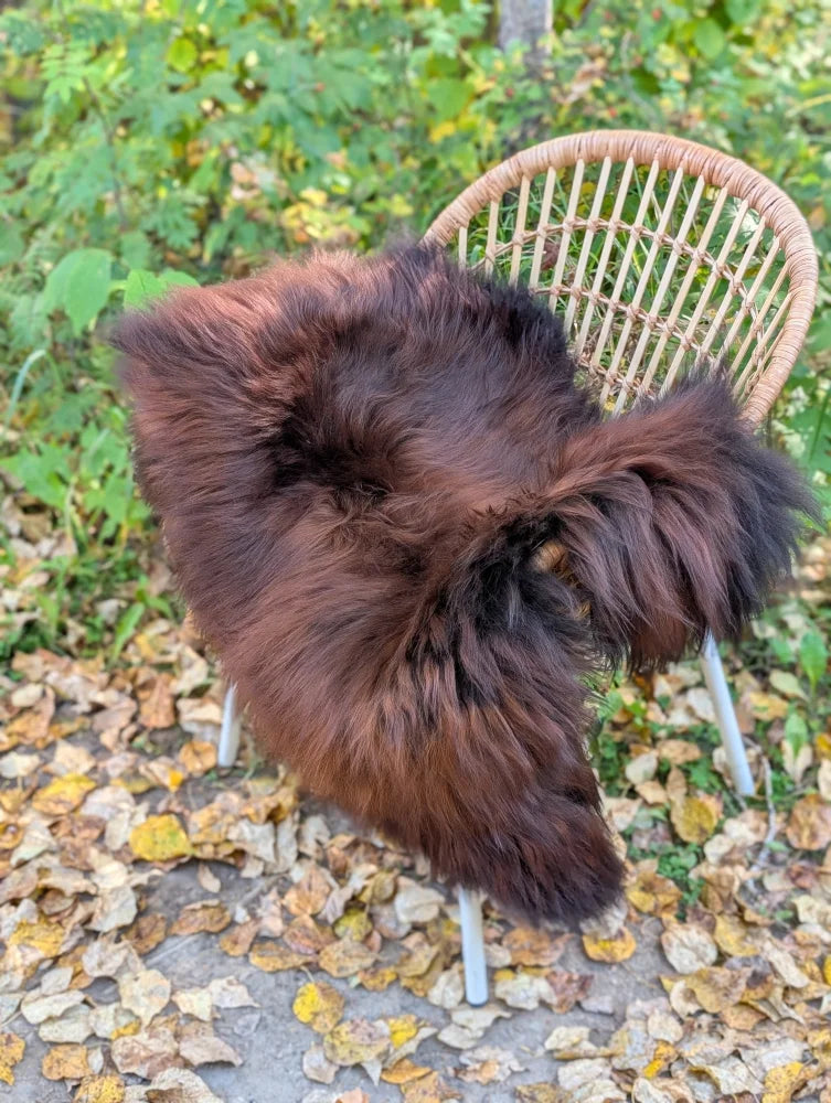 A plush deep brown large wool icelandic sheepskin rug draped over a wicker chair in natural dark rusty color