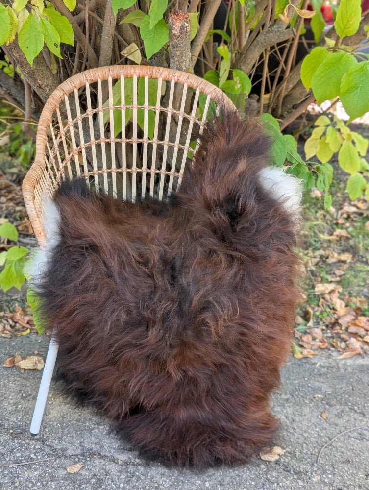 A dark rusty icelandic sheepskin rug with soft wool texture on a wicker chair seat perfect for cozy use