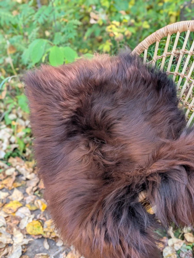 A large dark rusty icelandic sheepskin throw blanket with soft fluffy wool icelandic texture and plush feel