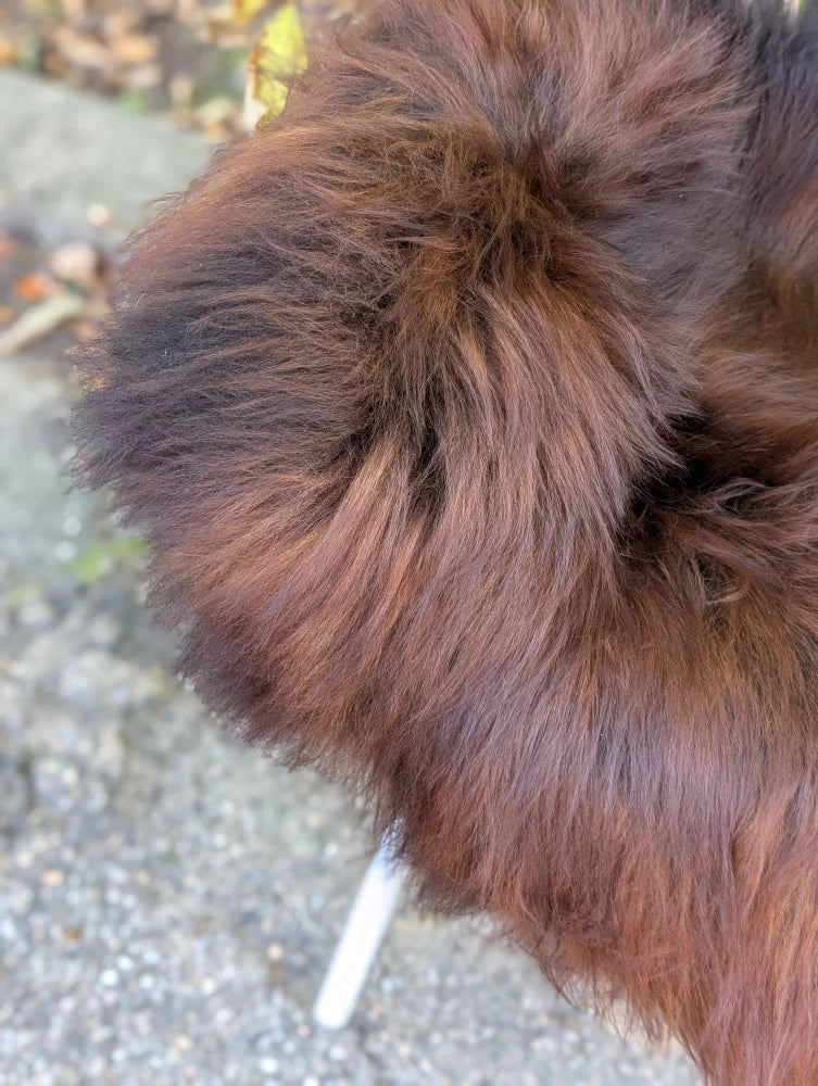 A plush fluffy brown wool icelandic sheepskin cuff with natural gradient in large dark rusty shades