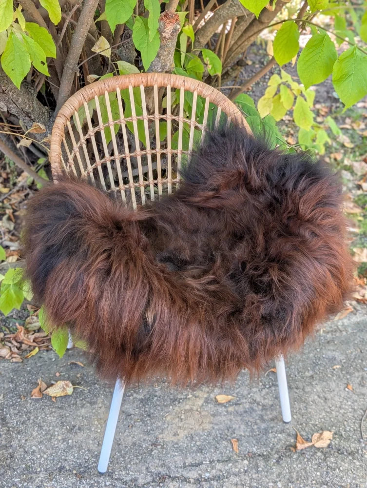 A plush large natural dark rusty icelandic sheepskin wool throw draped over a wicker chair with white metal legs