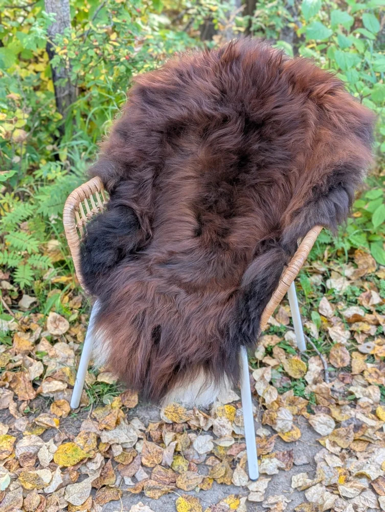 Thick fluffy natural dark rusty icelandic sheepskin rug draped over wicker chair wool icelandic sheepskins
