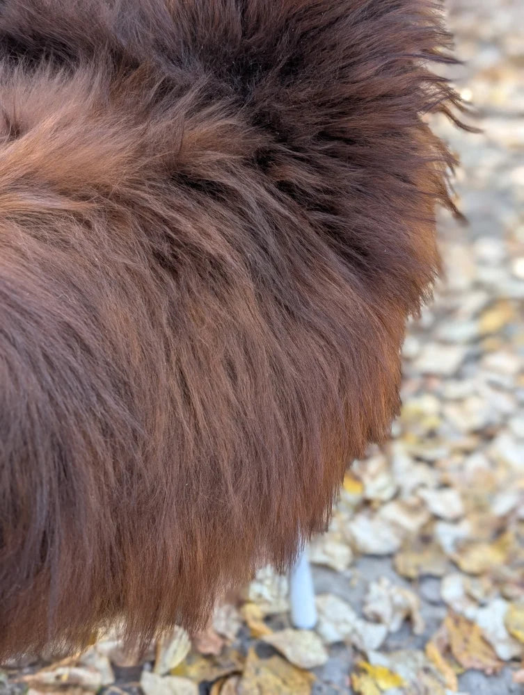 A plush deep brown wool icelandic sheepskin coat with soft voluminous texture in large natural dark rusty color