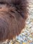 A plush deep brown wool icelandic sheepskin coat with soft voluminous texture in large natural dark rusty color
