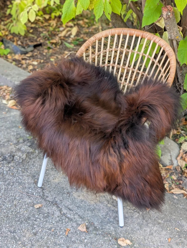 Thick plush natural dark rusty icelandic sheepskin rug draped over wicker chair showcasing wool icelandic texture