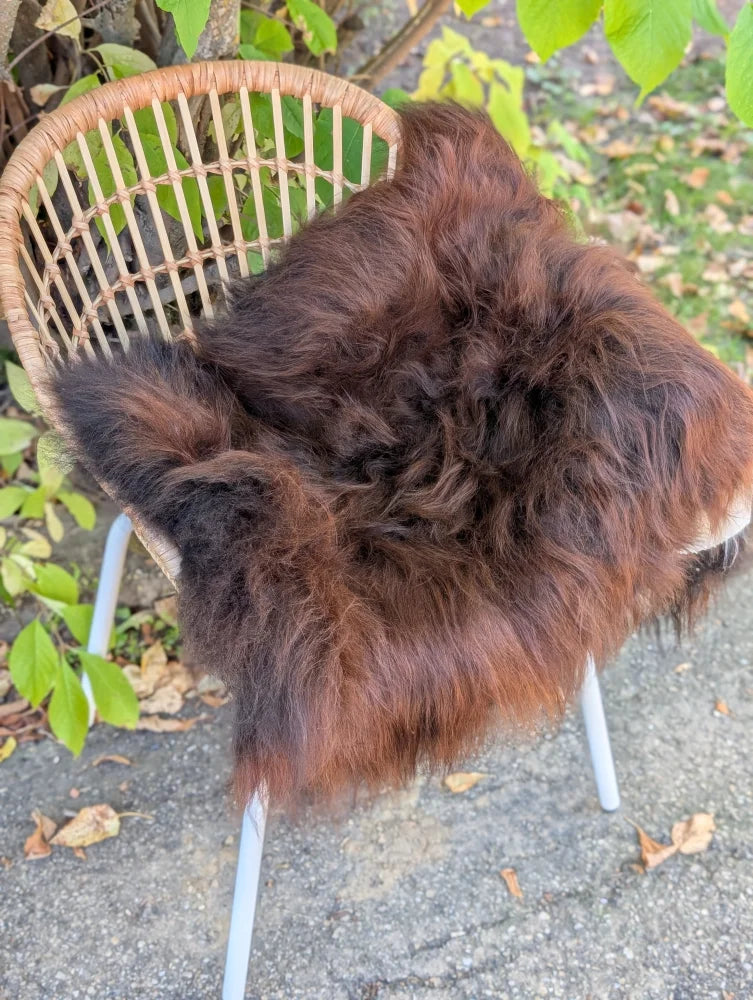 A plush deep brown natural dark rusty icelandic sheepskin with thick wool texture on a woven wicker chair