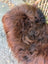 A fluffy curly brown dog resting on a large natural dark rusty icelandic sheepskin with thick wool icelandic coat
