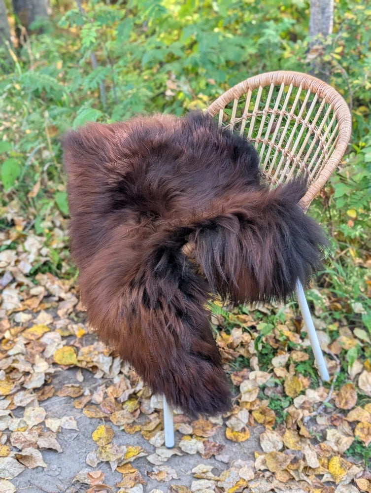A plush dark brown wool icelandic sheepskin rug draped over a wicker chair in natural dark rusty color