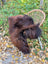 A plush dark brown wool icelandic sheepskin rug draped over a wicker chair in natural dark rusty color