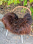 Thick fluffy natural dark rusty icelandic sheepskin draped over wicker chair with white metal legs for cozy seating