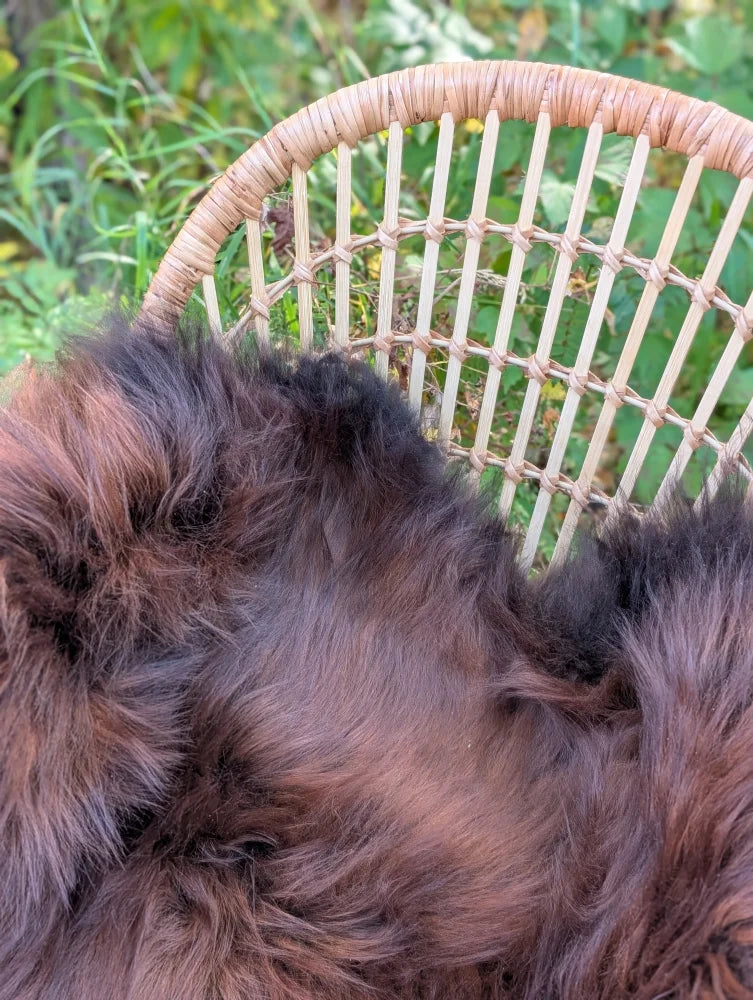 A plush dark rusty brown icelandic sheepskin throw with soft wool icelandic fur draped over a wicker chair back