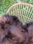 A plush dark rusty brown icelandic sheepskin throw with soft wool icelandic fur draped over a wicker chair back