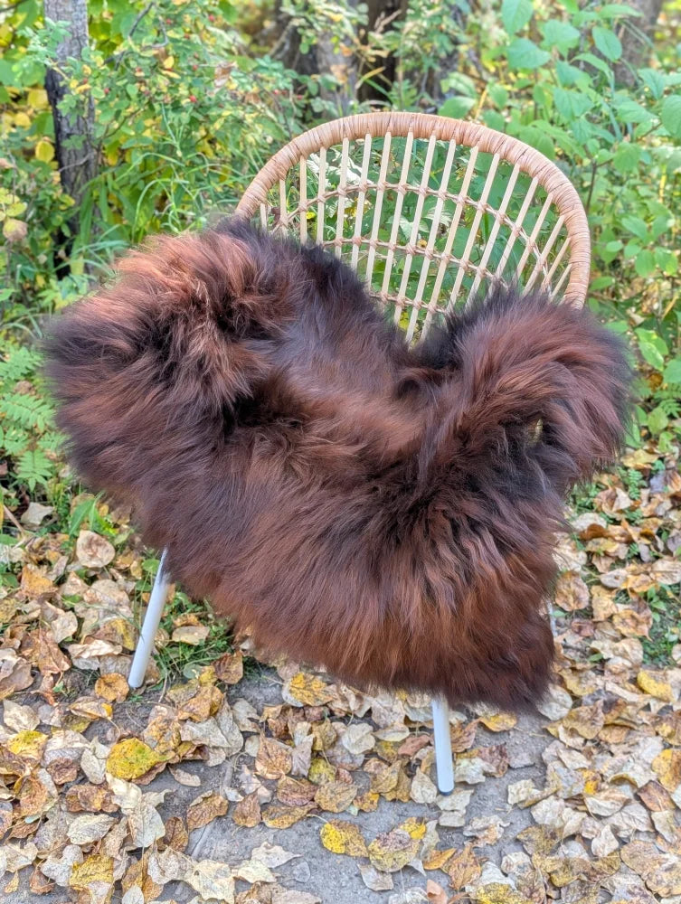 A plush deep brown wool icelandic sheepskin throw draped over a woven rattan chair with white metal legs