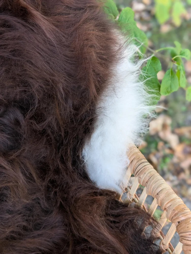 A fluffy brown and white wool icelandic sheepskin patch from a large natural dark rusty icelandic sheepskins rug
