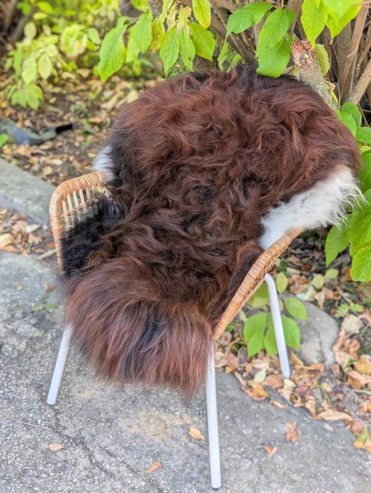 A plush large natural dark rusty icelandic sheepskin rug with curly wool draped over a wicker chair with metal legs
