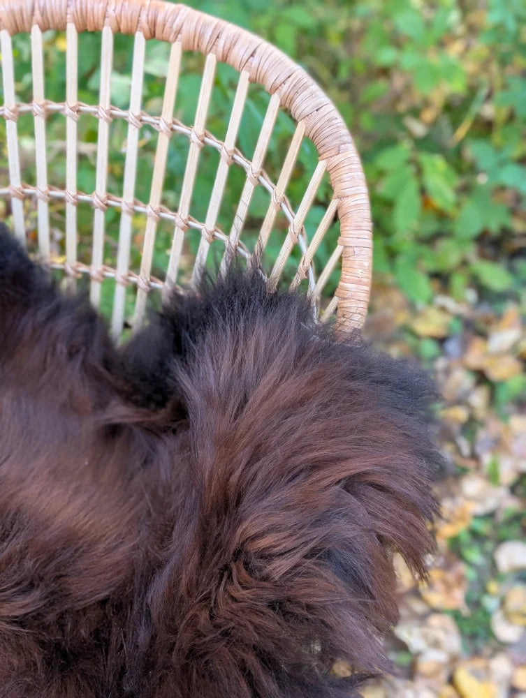 A fluffy dark brown dog rests against a large natural dark rusty icelandic sheepskin wool icelandic rug