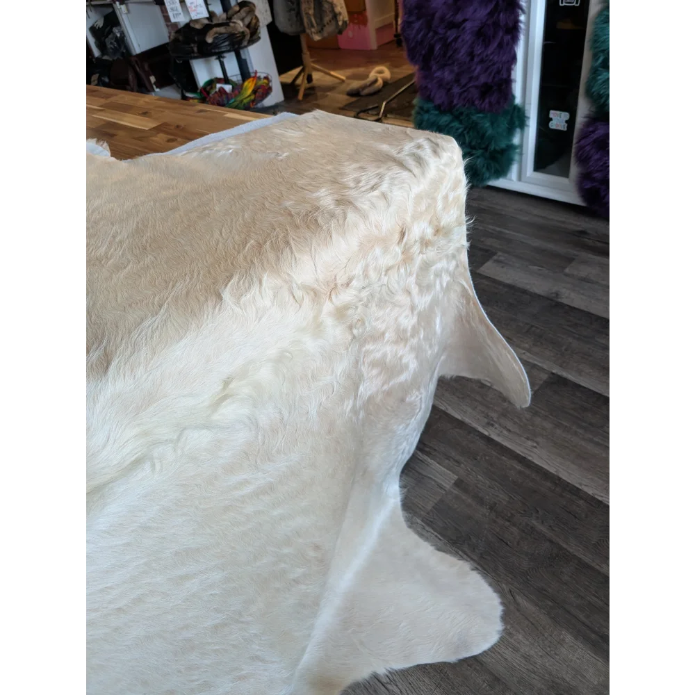 Very special white ivory cowhide #86 rug, soft underfoot with unmistakable aura