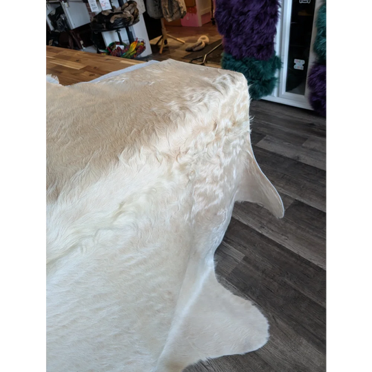 Very special white ivory cowhide #86 rug, soft underfoot with unmistakable aura