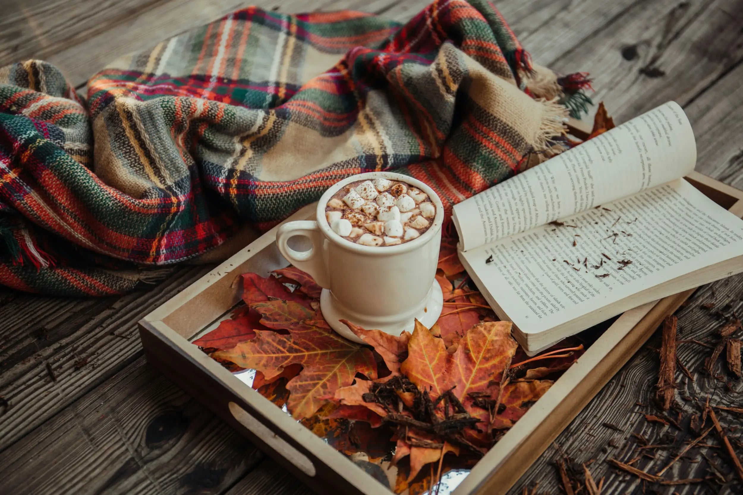 White ceramic mug filled with hot chocolate and topped with mini marshmallows.