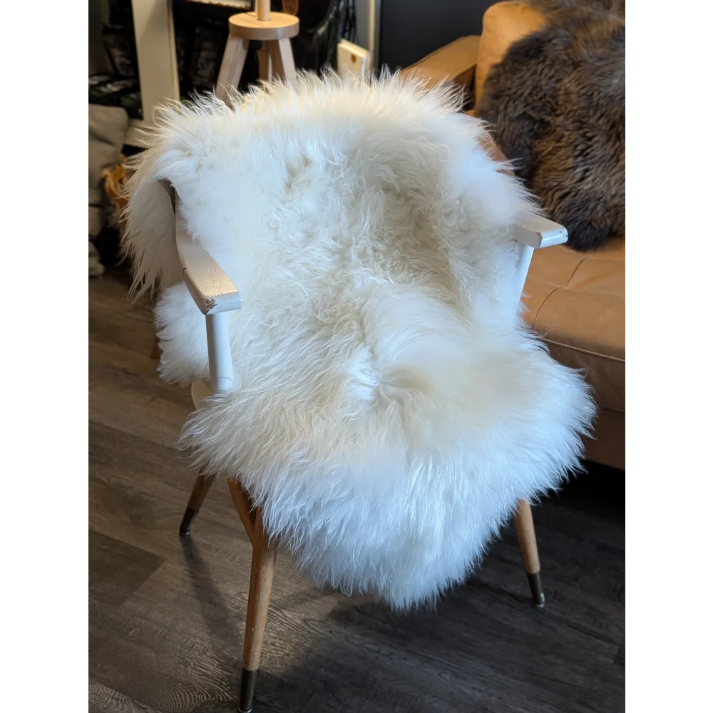 White fluffy grade a icelandic sheepskin rug draped over wooden chair soft icelandic sheepskin 48 x 31 inches