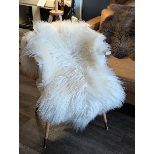 White fluffy grade a icelandic sheepskin rug 49 x 31 inches draped over a modern chair soft icelandic sheepskin