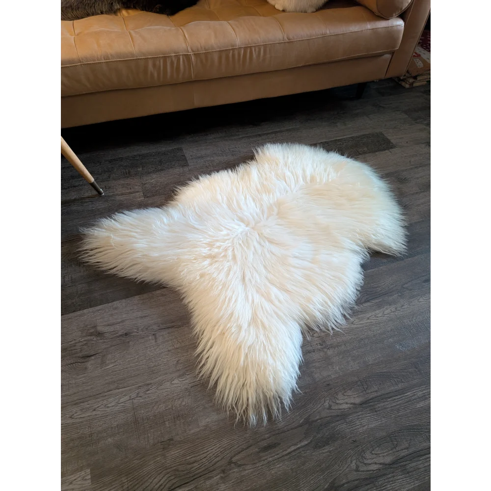 A soft icelandic sheepskin rug in off-white with fluffy texture on dark wood floor 49 x 31 inches grade a