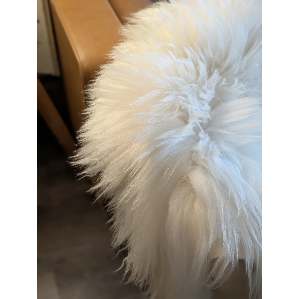 A plush soft icelandic sheepskin rug 49 by 31 inches with long fluffy white fibers grade a quality