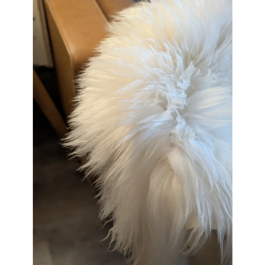 A plush soft icelandic sheepskin rug 49 by 31 inches with long fluffy white fibers grade a quality