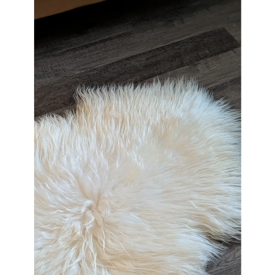 Cream-colored soft icelandic sheepskin rug 51 x 33 inches with long fluffy fibers on dark wooden floor