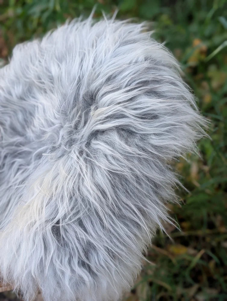 A plush gray and white wool icelandic faux fur throw pillow made from long wool icelandic sheepskin fibers