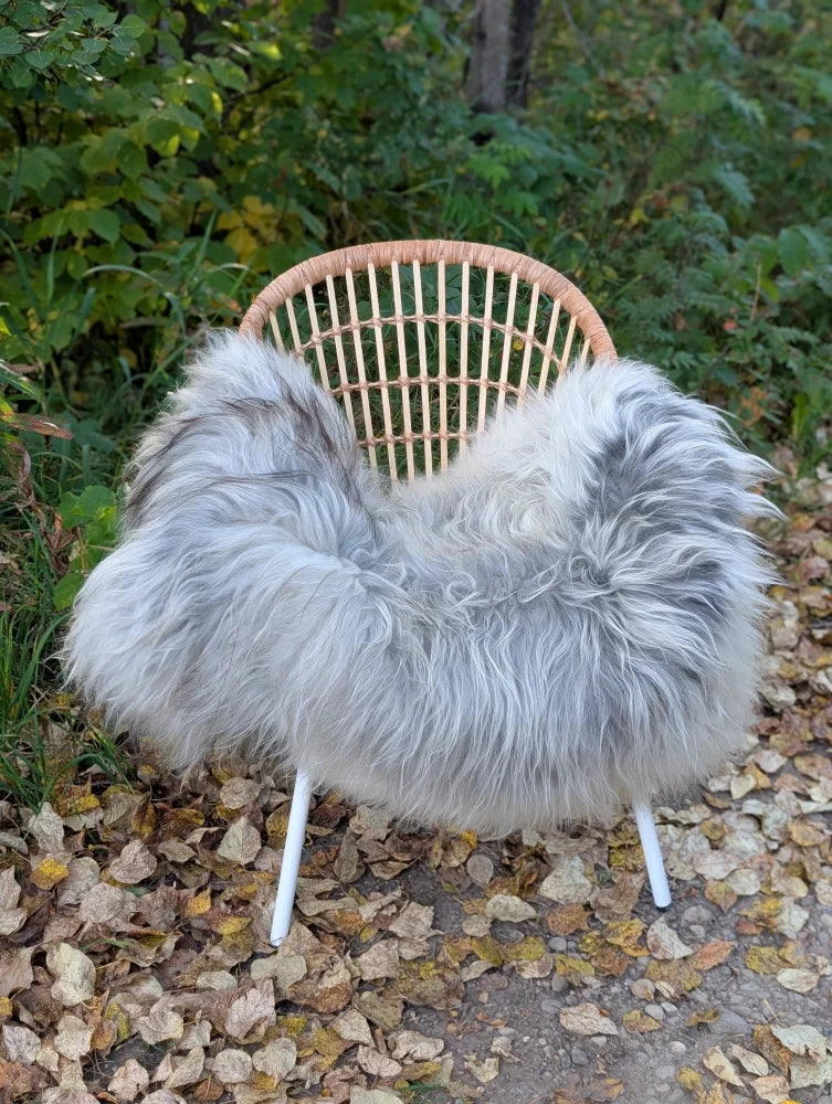 A cozy fluffy gray icelandic sheepskin long wool throw draped over a woven rattan chair with white metal legs