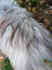 A long shaggy icelandic sheepskin coat in natural grey with silver and black wool icelandic fur texture