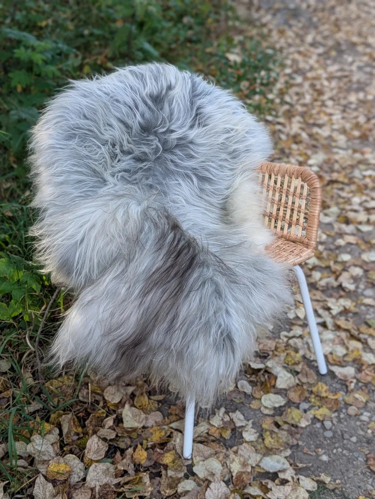 A plush light gray icelandic sheepskin rug with long wool draped over a wicker chair with white metal legs