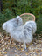 A plush light gray icelandic sheepskin throw with long wool draped over a woven wicker chair with white metal legs