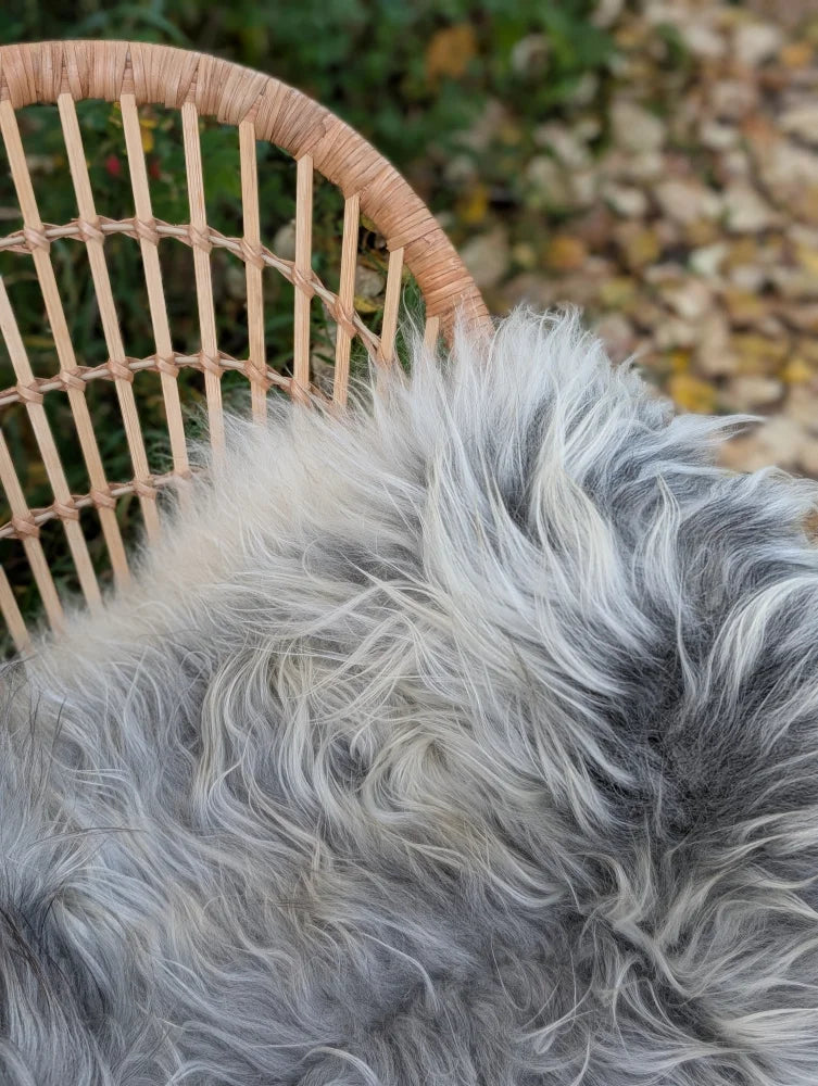 A long wool icelandic sheepskin rug in natural grey draped over a woven wicker chair for cozy style