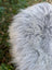A fluffy long-haired dog laying on a soft wool icelandic sheepskin in natural grey color measuring 56 by 32 inches