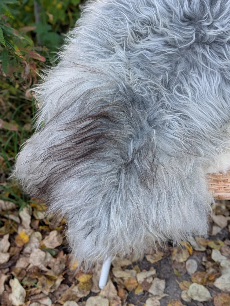 A plush long wool icelandic sheepskin rug in natural grey with soft fluffy texture measuring 56 by 32 inches