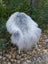 A fluffy white and gray chicken stands on fallen leaves near a massive icelandic sheepskin natural grey rug