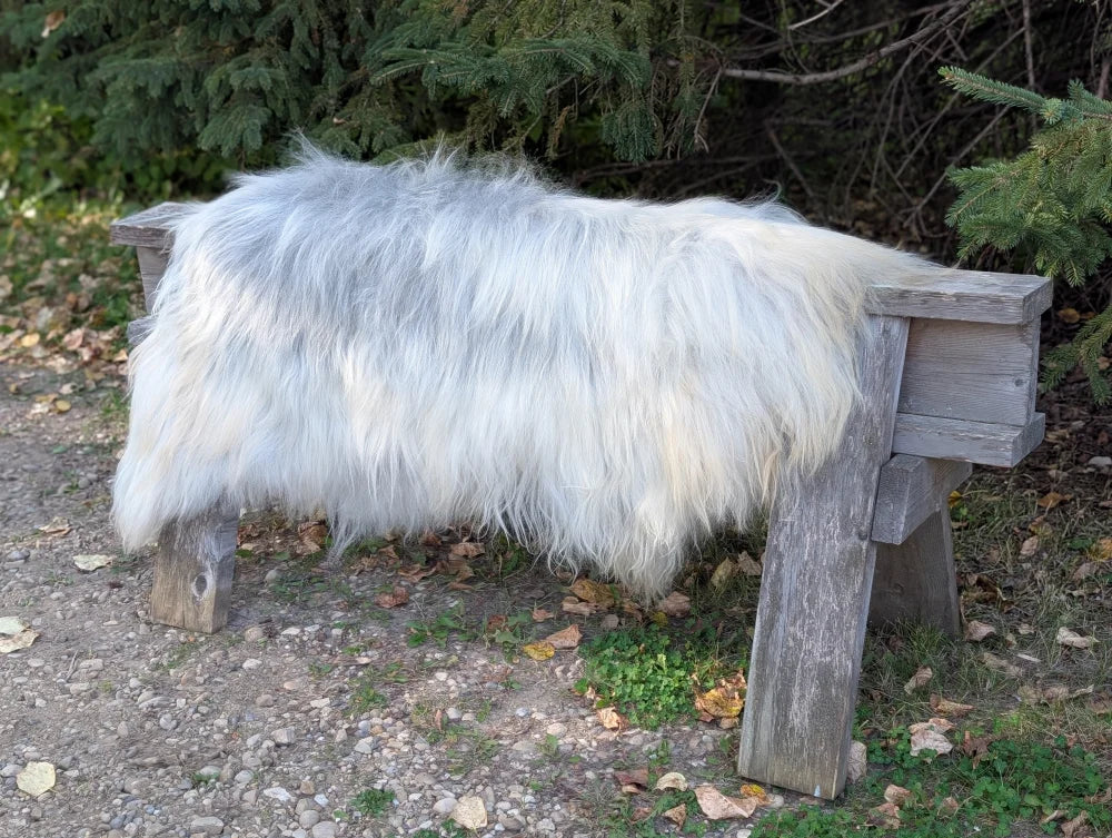 A massive icelandic sheepskin rug in natural grey wool draped over a rustic wooden bench showing its thick fluffiness