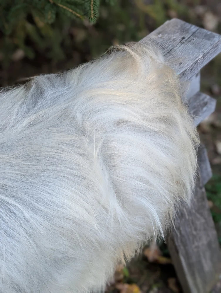 Fluffy white massive icelandic sheepskin fur resting on weathered wood in a natural grey wool icelandic sheepskins rug