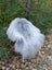 A fluffy massive icelandic sheepskin chair in natural grey with wool icelandic sheepskins and slender white legs