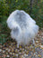 A massive icelandic sheepskin rug in natural grey with fluffy soft wool draped over two white legs