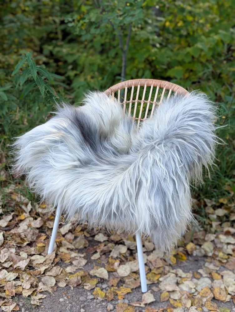 A plush long wool icelandic sheepskin throw in natural grey draped over a wicker chair with metal legs