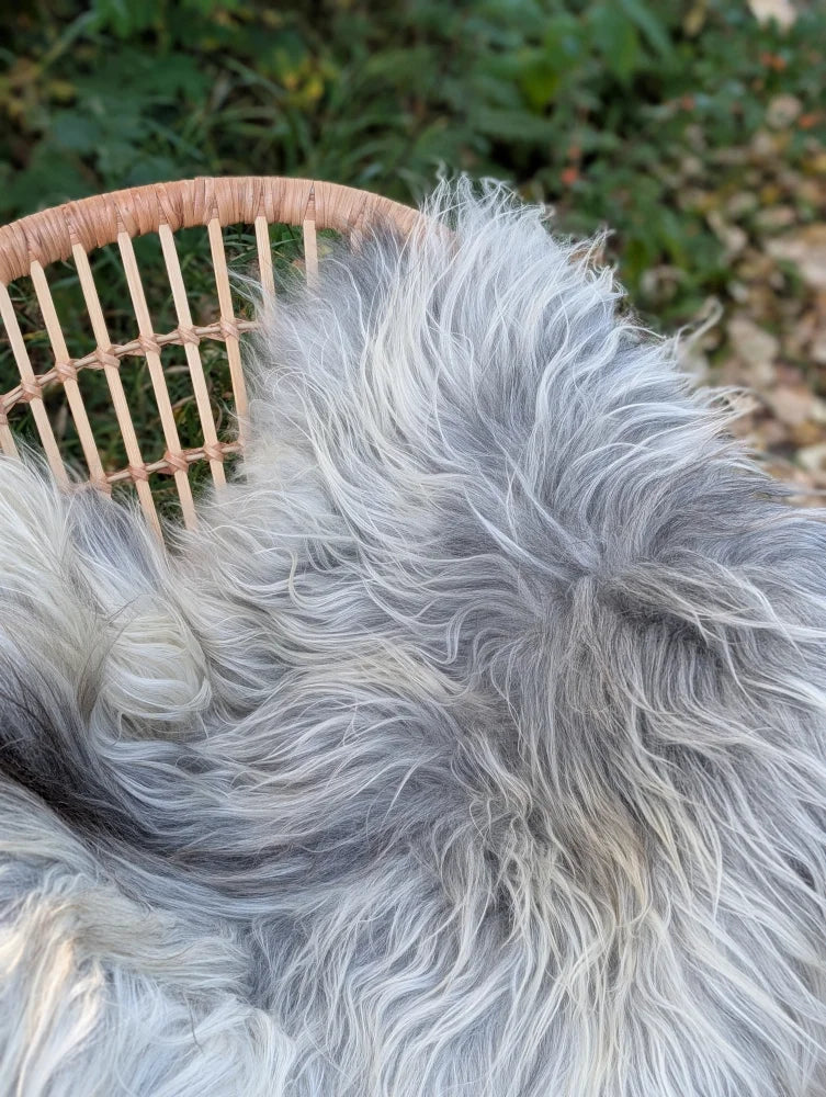 A plush long wool icelandic sheepskin throw in natural grey draped over a woven wicker chair