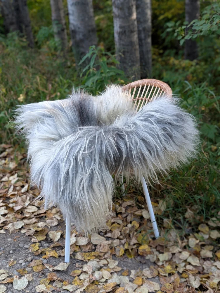 A plush long wool icelandic sheepskin throw in natural grey draped over a woven chair with light legs