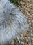 Backside of win#2 60 x 34 inch massive icelandic sheepskin in natural grey with long wool icelandic texture